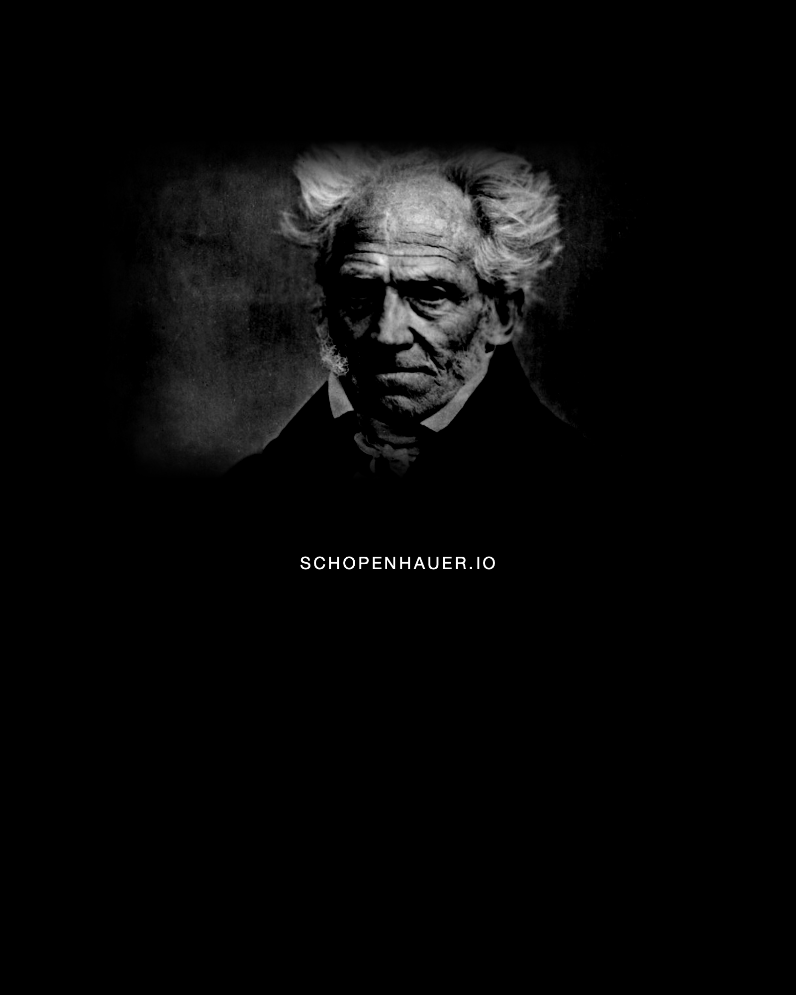 Schopenhauer.io